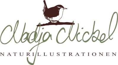 cropped nadja logo.png